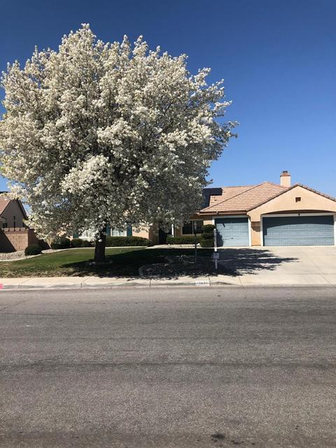 13038 Lompoc Rd, Apple Valley, CA 92308 photo 1