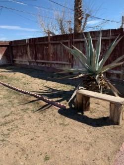 1645 Church St, Barstow, CA 92311 photo 31