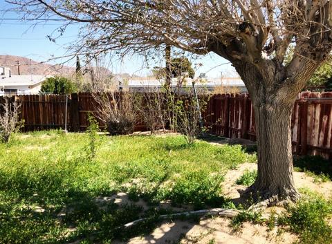35919 Calico Rd, Yermo, CA 92398 photo 38