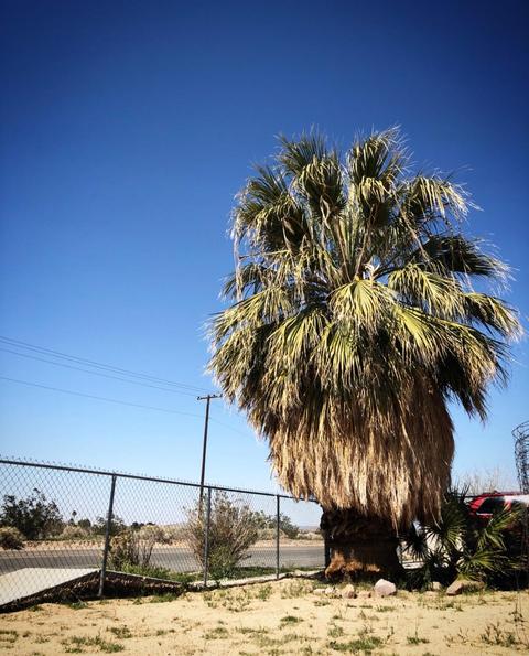 35919 Calico Rd, Yermo, CA 92398 photo 45