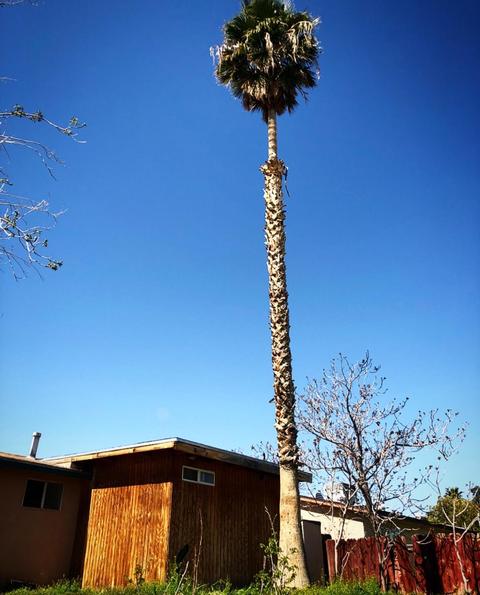 35919 Calico Rd, Yermo, CA 92398 photo 41