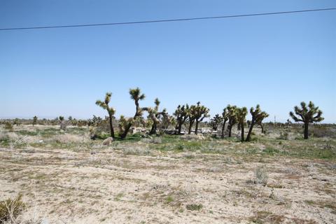 11543 Eaby Rd, Phelan, CA 92371 photo 1