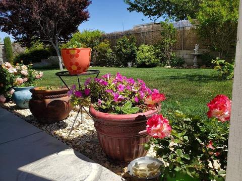 17796 Verde St, Hesperia, CA 92345 photo 44