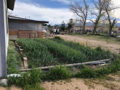6542 Brawley Rd, Phelan, CA 92371 photo 8