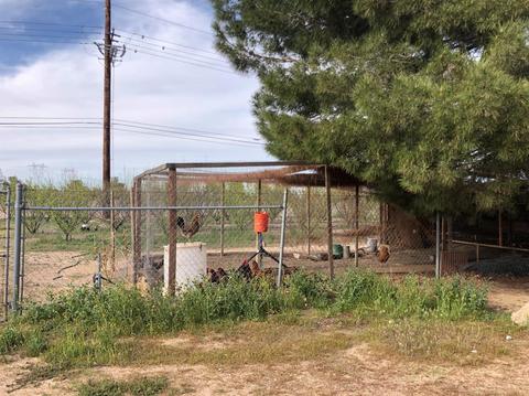 6542 Brawley Rd, Phelan, CA 92371 photo 9