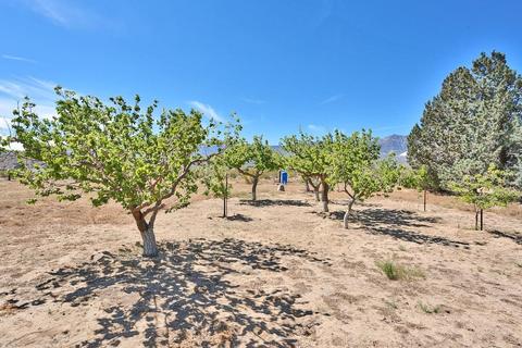 31617 Pawnee St, Lucerne Valley, CA 92356 photo 31
