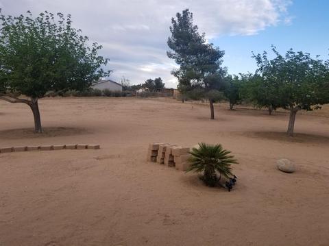 11743 Oakwood Ave, Hesperia, CA 92345 photo 24