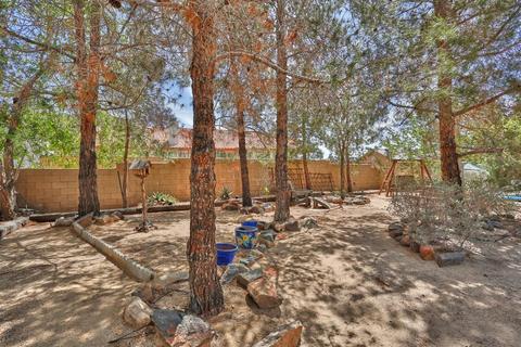 16949 Tokata Rd, Apple Valley, CA 92307 photo 49