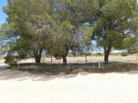 11000 Midway Ave, Lucerne Valley, CA 92356 photo 3