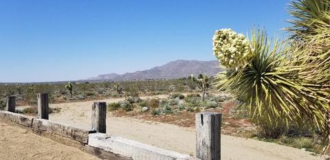 29979 Outpost Rd, Lucerne Valley, CA 92356 photo 3
