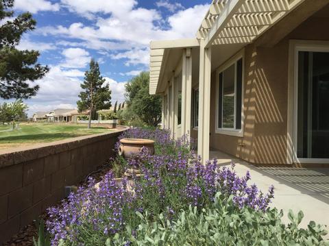 10550 Nobleton Rd, Apple Valley, CA 92308 photo 6