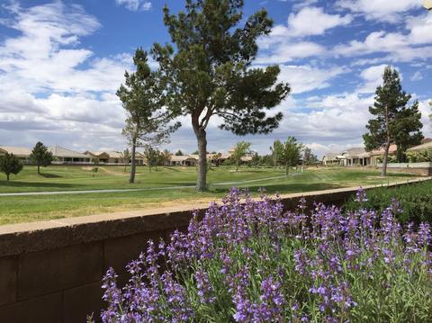 10550 Nobleton Rd, Apple Valley, CA 92308 photo 51