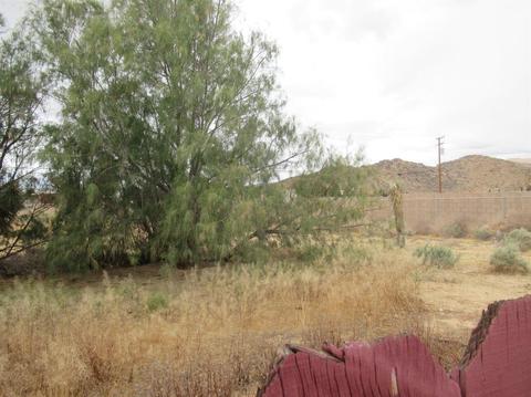 20861 Outer Hwy 18 S Hwy, Apple Valley, CA 92307 photo 23