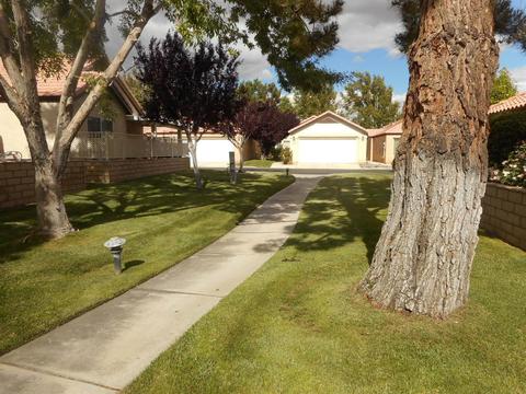 11519 Oak St, Apple Valley, CA 92308 photo 2