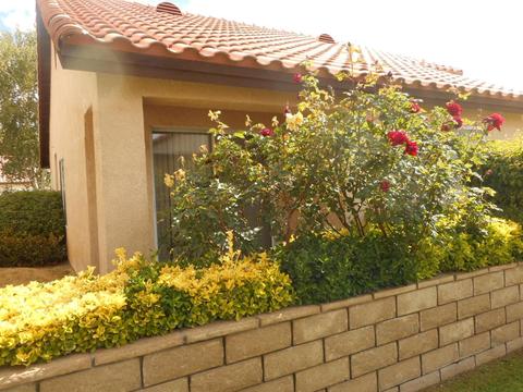 11519 Oak St, Apple Valley, CA 92308 photo 22
