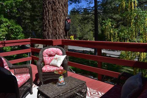 549 Oriole Rd, Wrightwood, CA 92397 photo 8