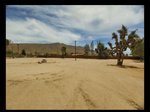 9650 Yucca St, Apple Valley, CA 92308 photo 55