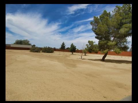 9650 Yucca St, Apple Valley, CA 92308 photo 54