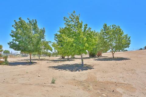 5455 Sunnyslope Rd, Phelan, CA 92371 photo 77