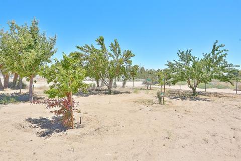 5455 Sunnyslope Rd, Phelan, CA 92371 photo 78