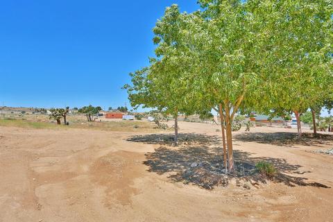 5455 Sunnyslope Rd, Phelan, CA 92371 photo 75