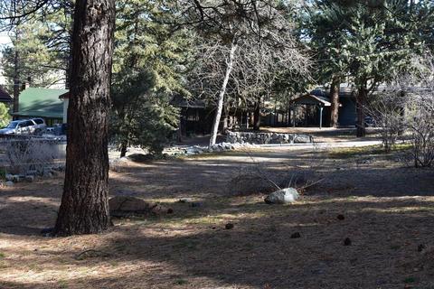 5686 Sheep Creek Dr, Wrightwood, CA 92397 photo 5