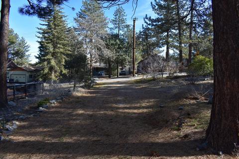 5686 Sheep Creek Dr, Wrightwood, CA 92397 photo 7
