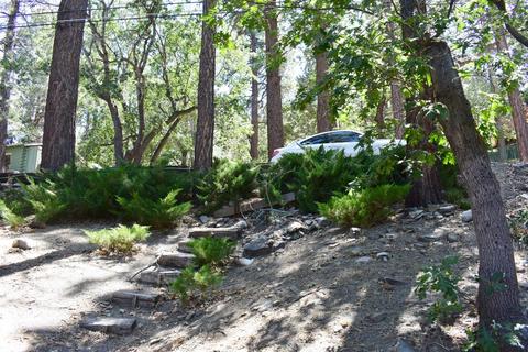 813 Lark Dr, Wrightwood, CA 92397 photo 5