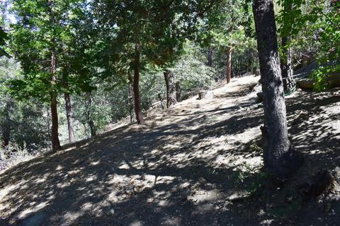 813 Lark Dr, Wrightwood, CA 92397 photo 7