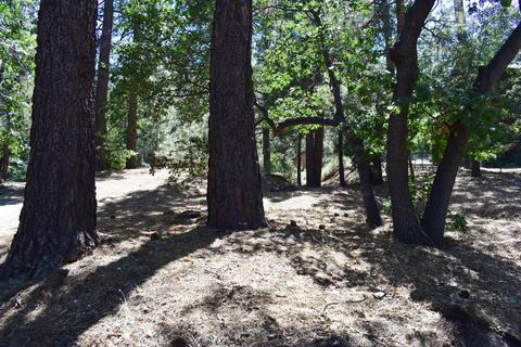 813 Lark Dr, Wrightwood, CA 92397 photo 3