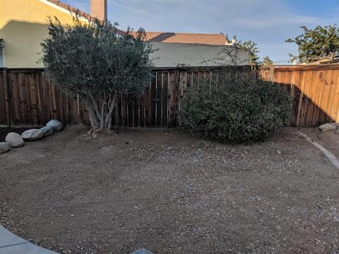 11407 Addison Ct, Adelanto, CA 92301 photo 35