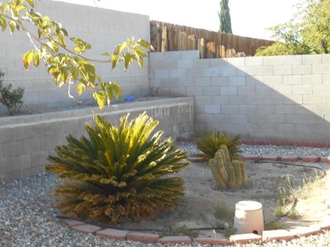 850 Palo Verde Dr, Barstow, CA 92311 photo 5