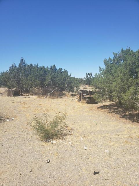 9976 Blue Stake Rd, Phelan, CA 92371 photo 5