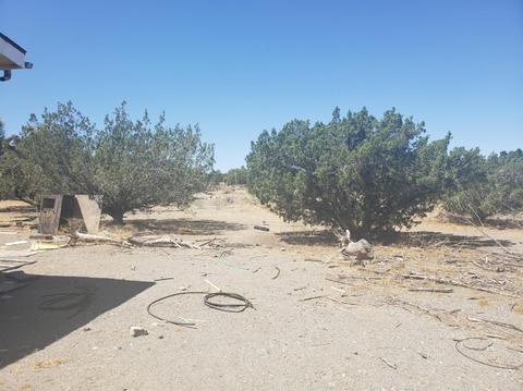 9976 Blue Stake Rd, Phelan, CA 92371 photo 4