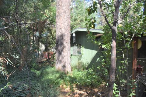 1845 Irene St, Wrightwood, CA 92397 photo 24
