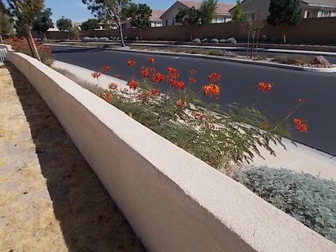 19597 Rolling Green Dr, Apple Valley, CA 92308 photo 41