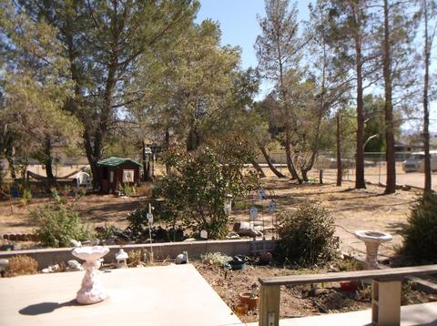 9425 Buckthorn Ave, Hesperia, CA 92345 photo 21
