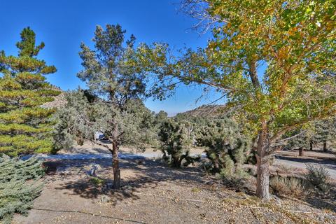 7630 Sand Canyon Rd, Wrightwood, CA 92397 photo 58
