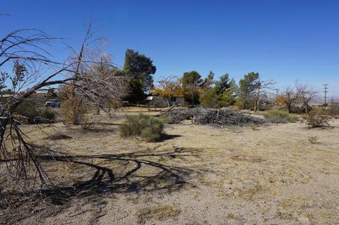 28056 Brucite Rd, Barstow, CA 92311 photo 48
