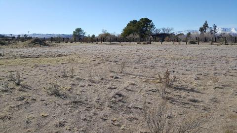 1821 Juba Trl, Ridgecrest, CA 93555 photo 23