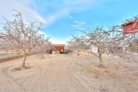 10425 Paramount Rd, Phelan, CA 92371 photo 60