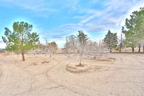 10425 Paramount Rd, Phelan, CA 92371 photo 59
