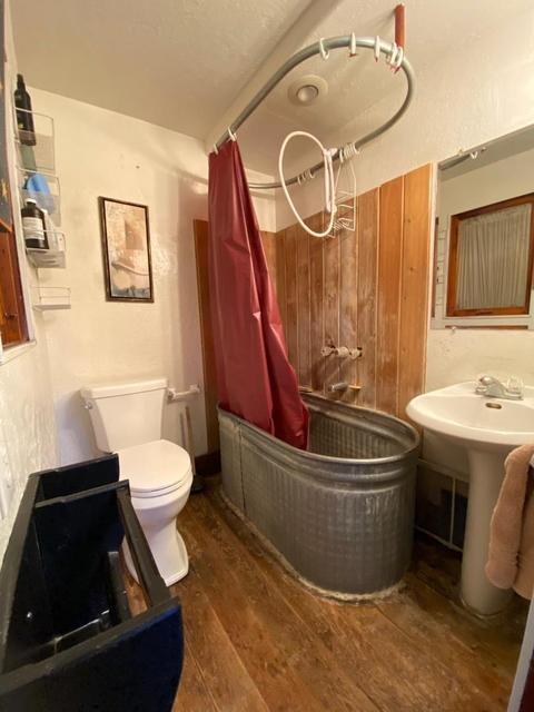 1332 Irene St, Wrightwood, CA 92397 photo 9