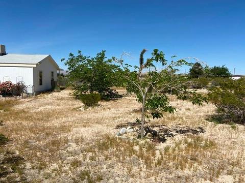 8929 Visalia Rd, Lucerne Valley, CA 92356 photo 6