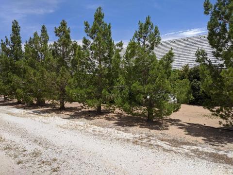 35668 Mountain View Rd, Hinkley, CA 92347 photo 46