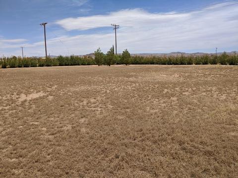 35668 Mountain View Rd, Hinkley, CA 92347 photo 53