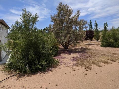 35668 Mountain View Rd, Hinkley, CA 92347 photo 47