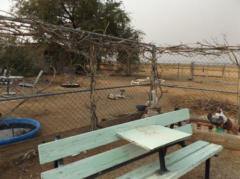 Undisclosed, Apple Valley, CA 92307 photo 13