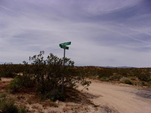 57616 Reche Rd, Landers, CA 92285 photo 19