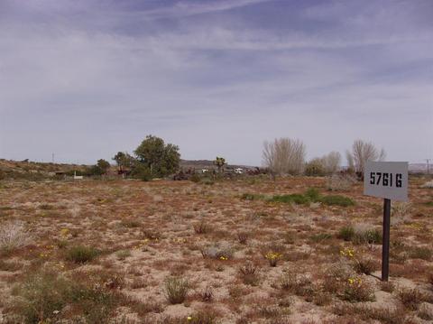 57616 Reche Rd, Landers, CA 92285 photo 16